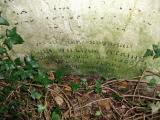 image of grave number 82067